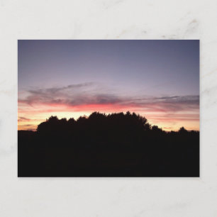 Sunset Silhouette Postcard