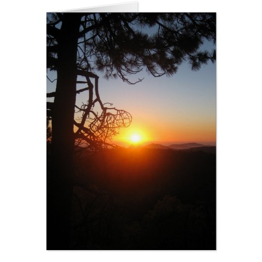 sunset silouettes 2 cards (Front)