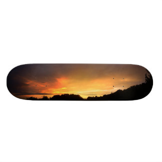 Sunset Skateboard