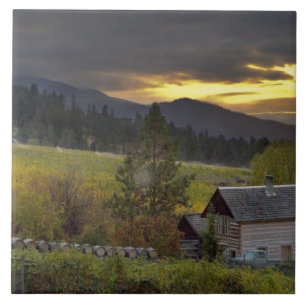 Sunset sky over vineyards and historic log cabin ceramic tile