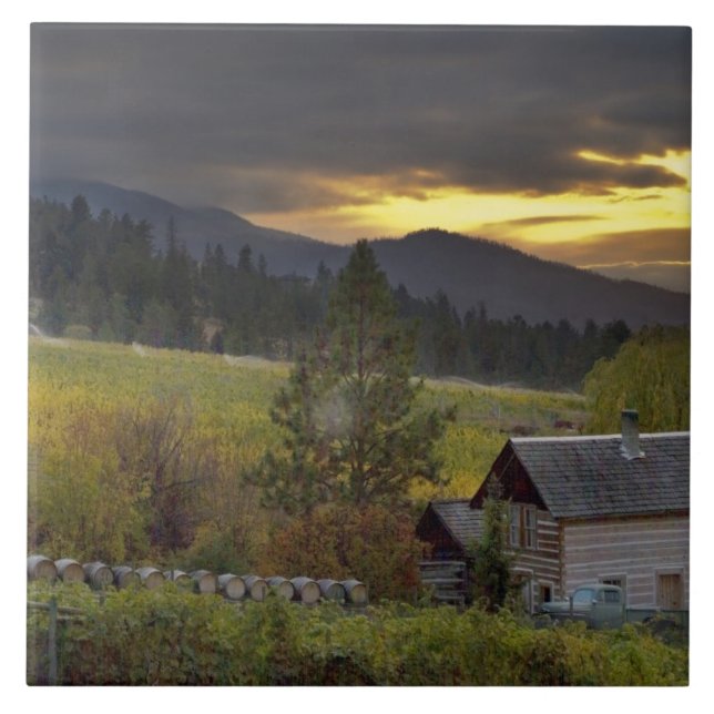 Sunset sky over vineyards and historic log cabin ceramic tile (Front)