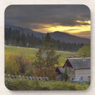 Sunset sky over vineyards and historic log cabin coaster