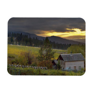 Sunset sky over vineyards and historic log cabin magnet