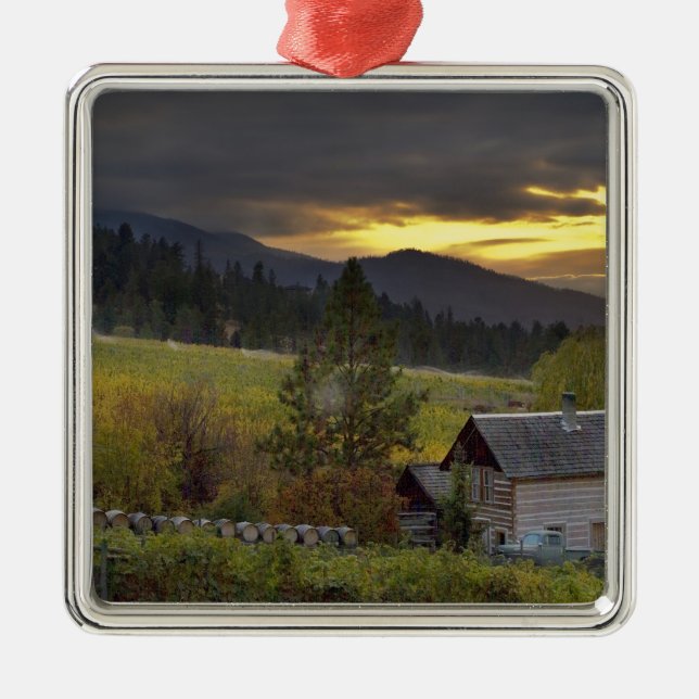 Sunset sky over vineyards and historic log cabin metal ornament (Front)