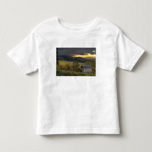 Sunset sky over vineyards and historic log cabin toddler t-shirt