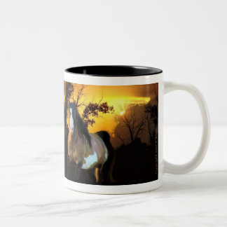 Sunset Stallion Mug