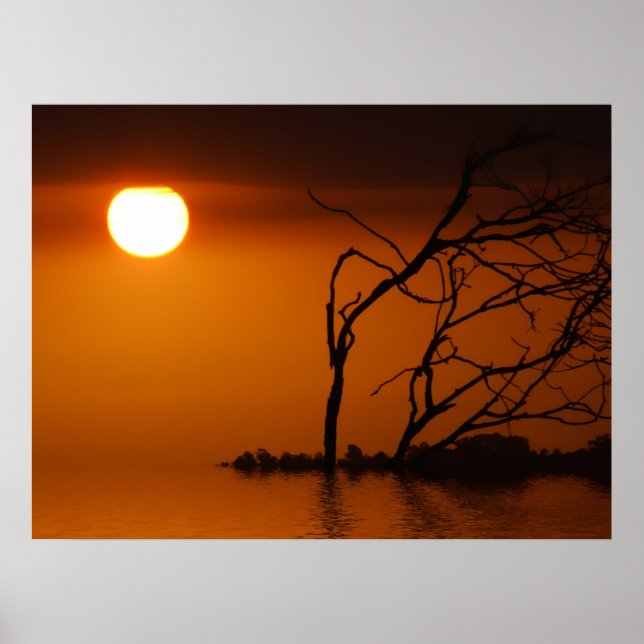 sunset sun silhouette Poster (Front)