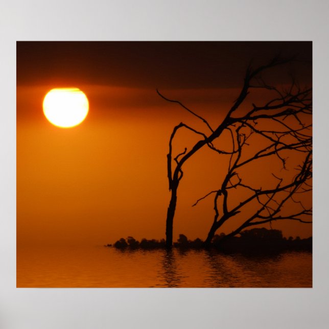 sunset sun silhouette Poster (Front)