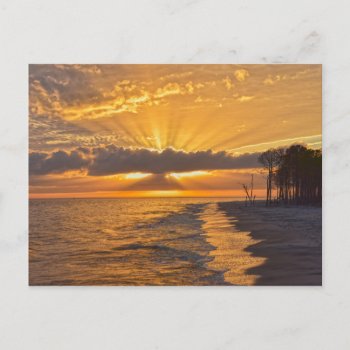 Sunset Sunbeams On Dauphin Island  Alabama Postcard by catherinesherman at Zazzle