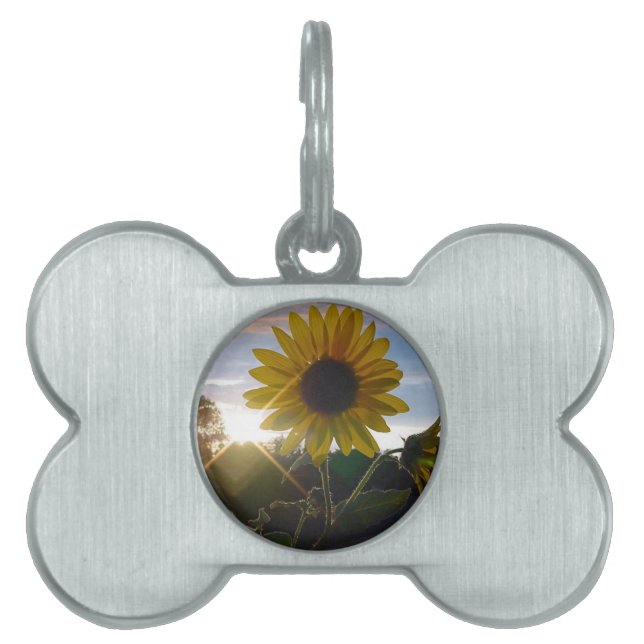 Sunset Sunflower Pet Tag (Front)
