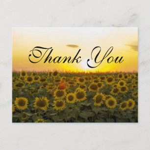 Sunset sunflowers Thank you card