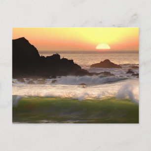 Sunset surfer postcard