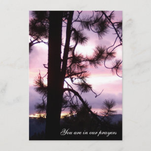 Sunset Sympathy cards