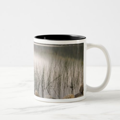 Sunset through fog over Upper Hadlock Pond Two_Tone Coffee Mug