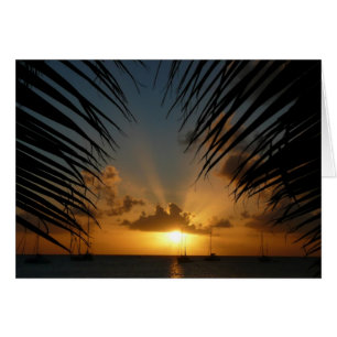 Sunset Through Palm Fronds Card