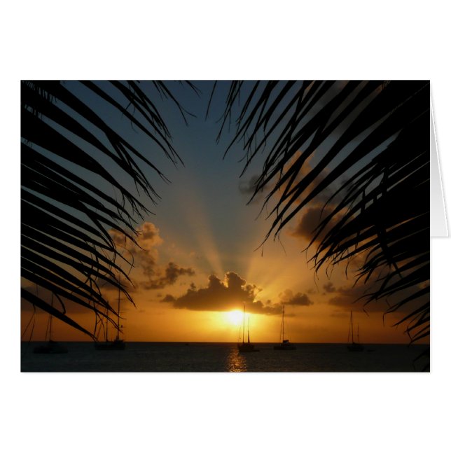 Sunset Through Palm Fronds Card (Front Horizontal)