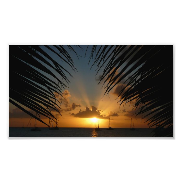 Sunset Through Palm Fronds Photo Print