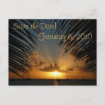 Sunset Through Palm Fronds Save the Date Postcard