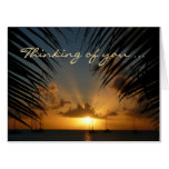 Sunset Through Palm Fronds "Thinking of You" Card