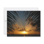 Sunset Through Palm Fronds Tropical Seascape