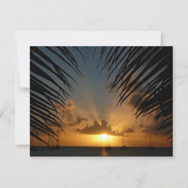 Sunset Through Palm Fronds Tropical Seascape (Front)