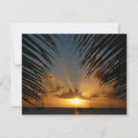 Sunset Through Palm Fronds Tropical Seascape