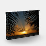 Sunset Through Palm Fronds Tropical Seascape Acrylic Award