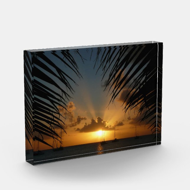 Sunset Through Palm Fronds Tropical Seascape Acrylic Award (Left)