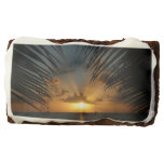Sunset Through Palm Fronds Tropical Seascape Brownie