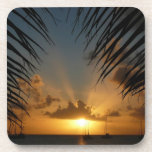 Sunset Through Palm Fronds Tropical Seascape Drink Coaster