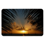 Sunset Through Palm Fronds Tropical Seascape Magnet
