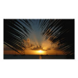 Sunset Through Palm Fronds Tropical Seascape Photo Print