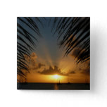 Sunset Through Palm Fronds Tropical Seascape Pinback Button