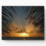 Sunset Through Palm Fronds Tropical Seascape Plaque