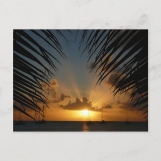 Sunset Through Palm Fronds Tropical Seascape Postcard
