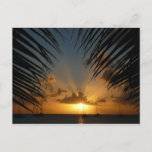 Sunset Through Palm Fronds Tropical Seascape Postcard