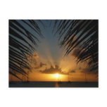 Sunset Through Palm Fronds Tropical Seascape Postcard