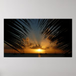 Sunset Through Palm Fronds Tropical Seascape Poster