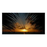 Sunset Through Palm Fronds Tropical Seascape Poster