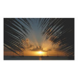 Sunset Through Palm Fronds Tropical Seascape Rectangular Sticker
