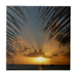 Sunset Through Palm Fronds Tropical Seascape Tile