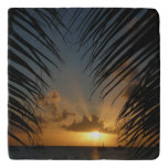 Sunset Through Palm Fronds Tropical Seascape Trivet