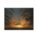 Sunset Through Palm Fronds Tropical Seascape Wood Poster