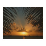 Sunset Through Palm Fronds Tropical Seascape Wood Wall Art