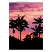 Sunset through Palm Trees (Front)
