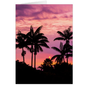 Sunset through Palm Trees