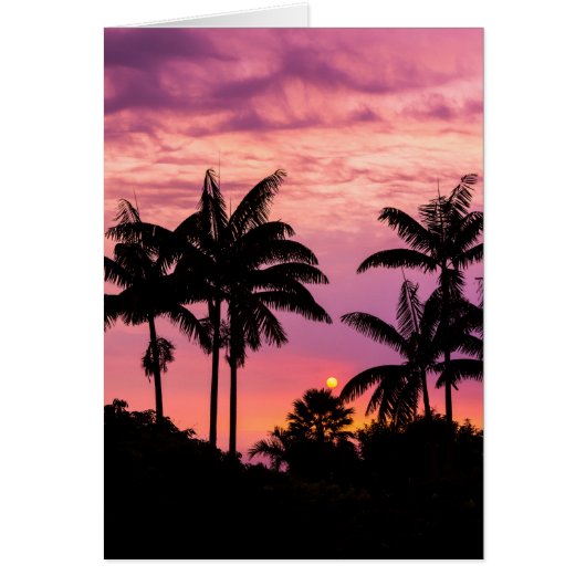 Sunset through Palm Trees Cards (Front)