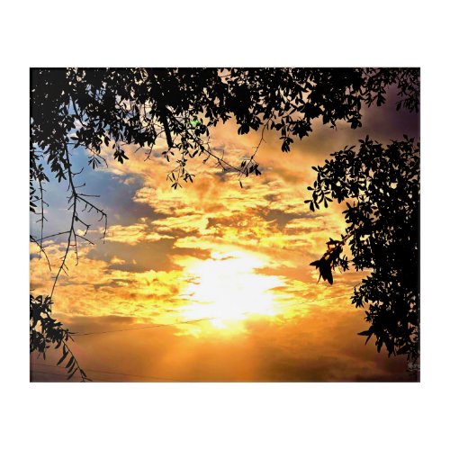 Sunset Through Silhouetted Leaves Acrylic Print