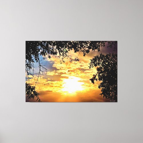 Sunset Through Silhouetted Leaves Canvas Print