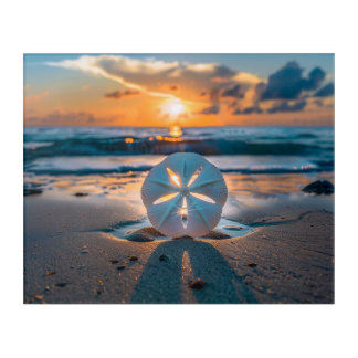 Sunset Through the Sand Dollar Acrylic Print